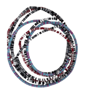 Waist Beads - multi color beads